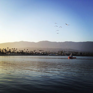 Meet your Posher, Chase